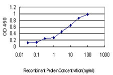KRIT1 Antibody in ELISA (ELISA)