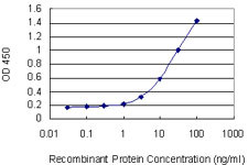 CD1C Antibody in ELISA (ELISA)