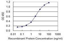 CD3E Antibody in ELISA (ELISA)