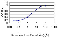 CD48 Antibody in ELISA (ELISA)
