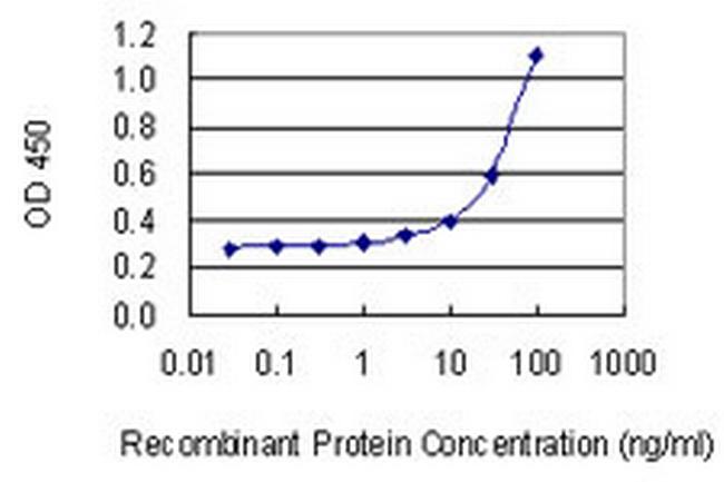 CD74 Antibody in ELISA (ELISA)