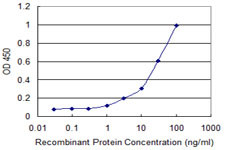 CD79B Antibody in ELISA (ELISA)