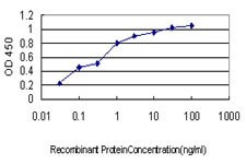 CDSN Antibody in ELISA (ELISA)