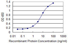 CDX1 Antibody in ELISA (ELISA)