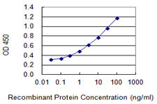 CDX2 Antibody in ELISA (ELISA)