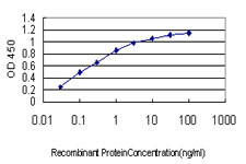 CDX4 Antibody in ELISA (ELISA)