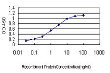 CDX4 Antibody in ELISA (ELISA)