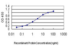 CDX4 Antibody in ELISA (ELISA)