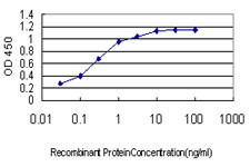 CDX4 Antibody in ELISA (ELISA)