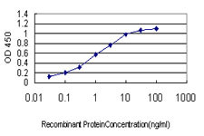 CDX4 Antibody in ELISA (ELISA)