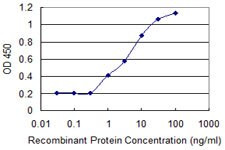 RCBTB2 Antibody in ELISA (ELISA)