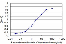 CHML Antibody in ELISA (ELISA)