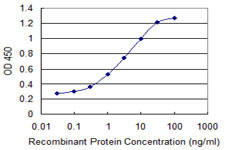 LYST Antibody in ELISA (ELISA)