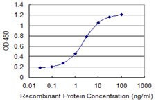 CHRNE Antibody in ELISA (ELISA)