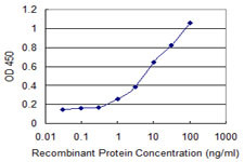 CHRNE Antibody in ELISA (ELISA)