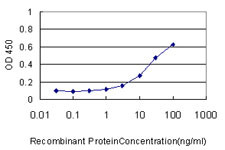 CKS1B Antibody in ELISA (ELISA)