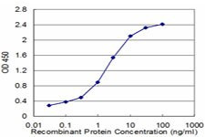 CLPS Antibody in ELISA (ELISA)