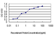 ABCC2 Antibody in ELISA (ELISA)