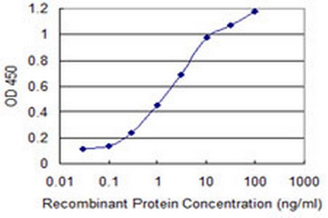 CNN1 Antibody in ELISA (ELISA)