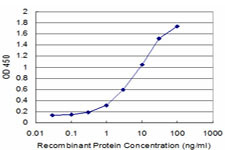 COPB Antibody in ELISA (ELISA)