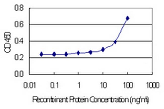 CST2 Antibody in ELISA (ELISA)