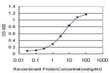 NKX2-5 Antibody in ELISA (ELISA)