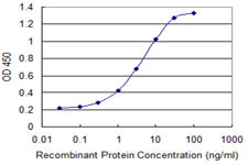 CTNNB1 Antibody in ELISA (ELISA)