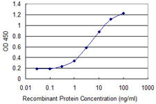CTNNB1 Antibody in ELISA (ELISA)