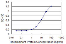 CTNNB1 Antibody in ELISA (ELISA)