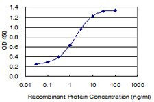 CTNND2 Antibody in ELISA (ELISA)