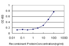 CTSW Antibody in ELISA (ELISA)