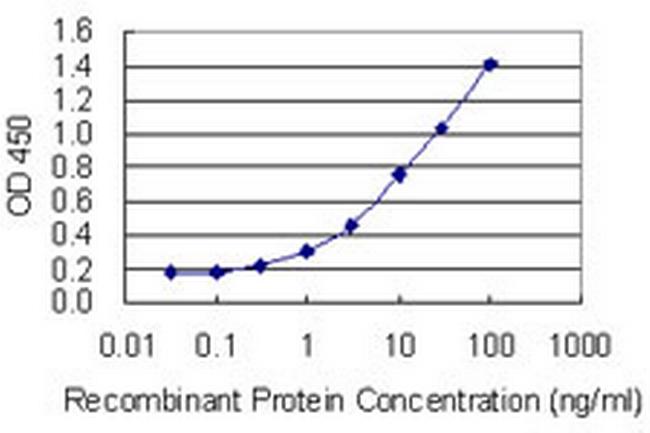CYP1A2 Antibody in ELISA (ELISA)