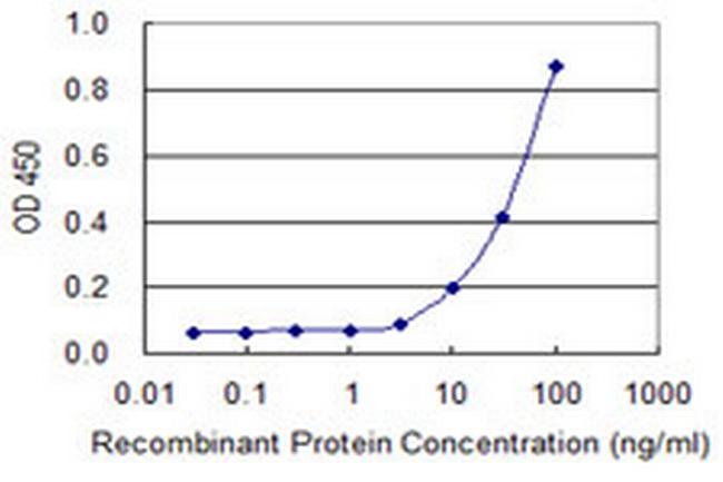 CYP2A6 Antibody in ELISA (ELISA)