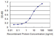 DAP Antibody in ELISA (ELISA)