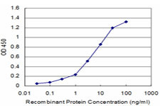 DBP Antibody in ELISA (ELISA)