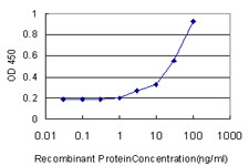 DCN Antibody in ELISA (ELISA)