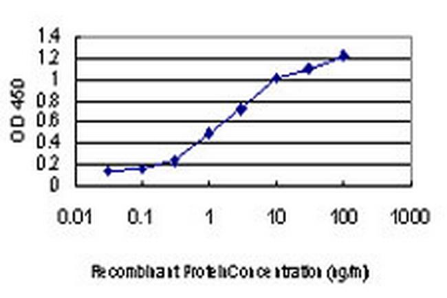 DDIT3 Antibody in ELISA (ELISA)
