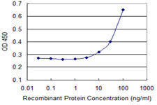 DDX11 Antibody in ELISA (ELISA)