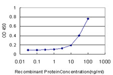 DEFB4 Antibody in ELISA (ELISA)