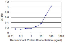 CYB5R3 Antibody in ELISA (ELISA)