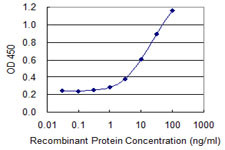 TSC22D3 Antibody in ELISA (ELISA)