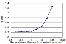 DTNB Antibody in ELISA (ELISA)