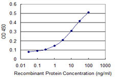 DUSP1 Antibody in ELISA (ELISA)