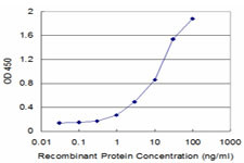 ECHS1 Antibody in ELISA (ELISA)