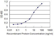 EIF4EBP1 Antibody in ELISA (ELISA)