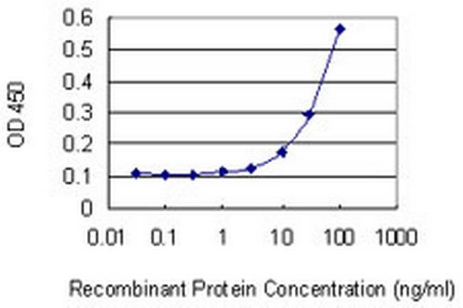 ELK4 Antibody in ELISA (ELISA)