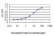 ENO2 Antibody in ELISA (ELISA)