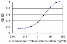 ENO2 Antibody in ELISA (ELISA)