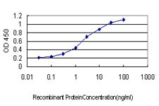 EPHB4 Antibody in ELISA (ELISA)