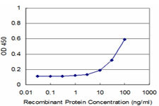 EPHB4 Antibody in ELISA (ELISA)